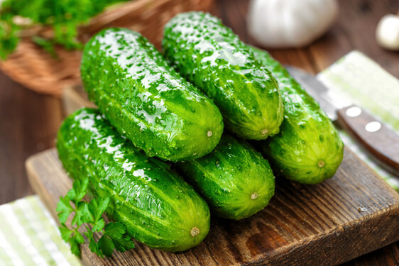 Cetriolo - cucumis sativus