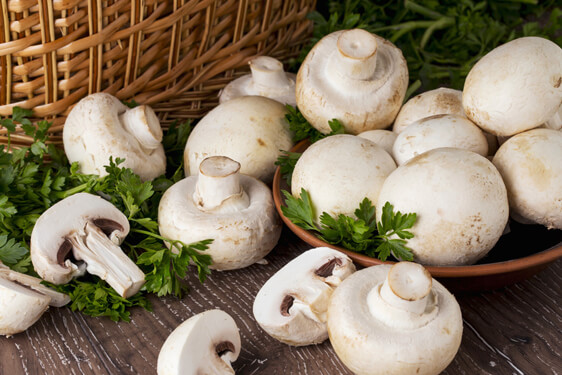 Funghi champignon - Agaricus Bisporus