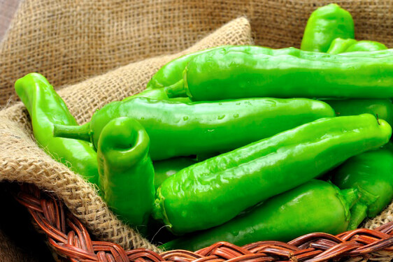 Peperoncino friggitello