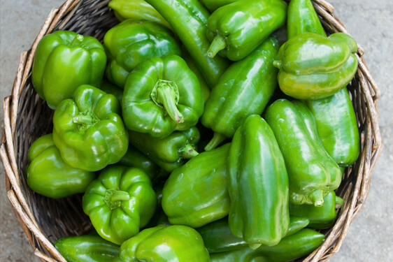 Peperone - Capsicum annum L.