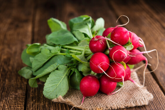 Ravanello - Raphanus sativus