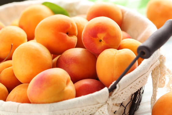 Albicocca - Prunus armeniaca