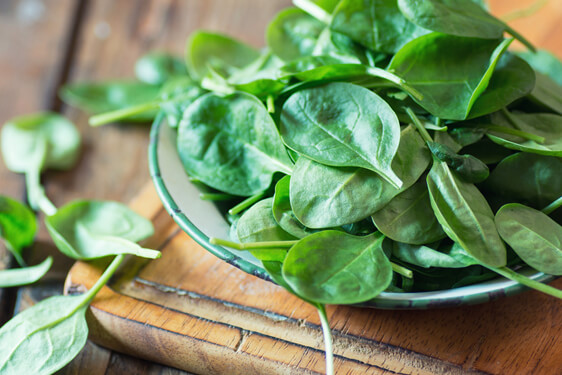 Spinacio - Spinacia oleracea