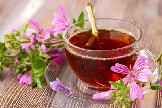 Infuso alla Malva